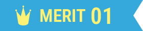 MERIT 01