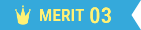 MERIT 03